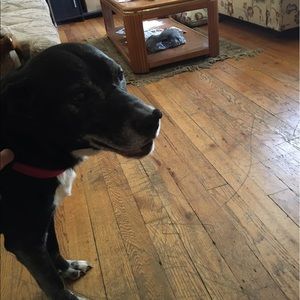 Meet your Posher, Timothy