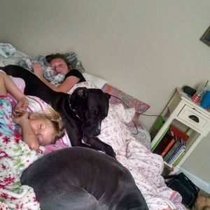 Meet your Posher, Vanessa