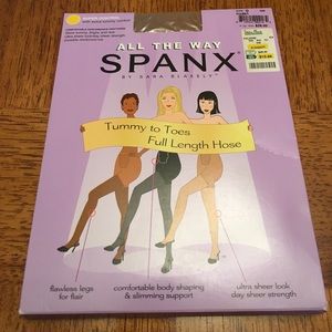 Spanx tummy to toes full length hose Size D