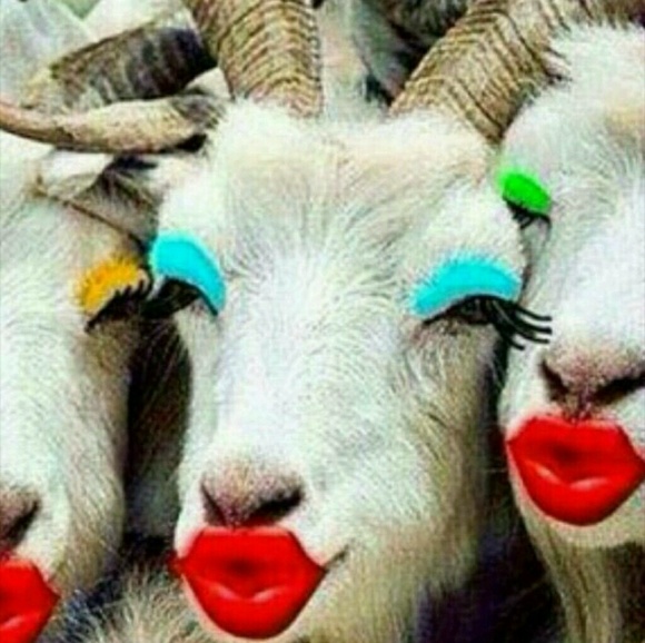 Meet your Posher, Sharon - Picture 2 of 3