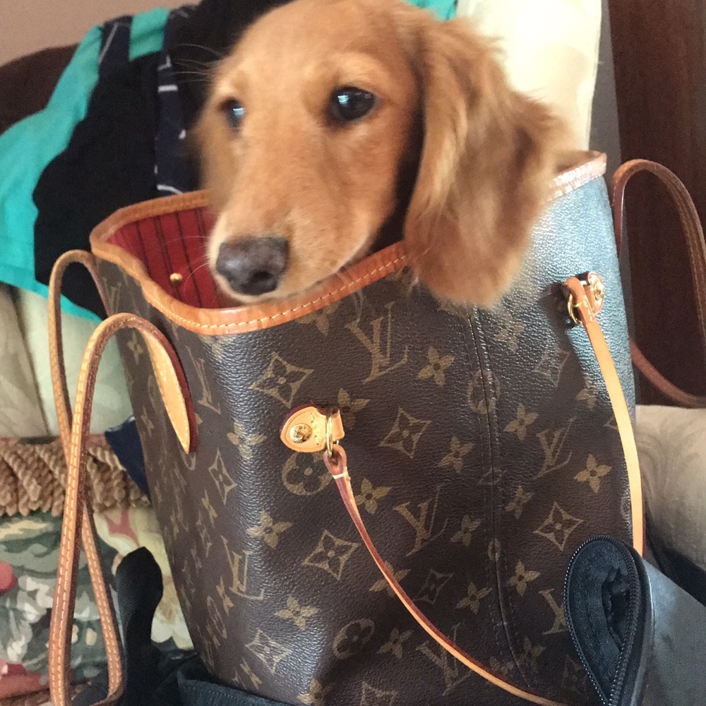 Meet your Posher, Yates