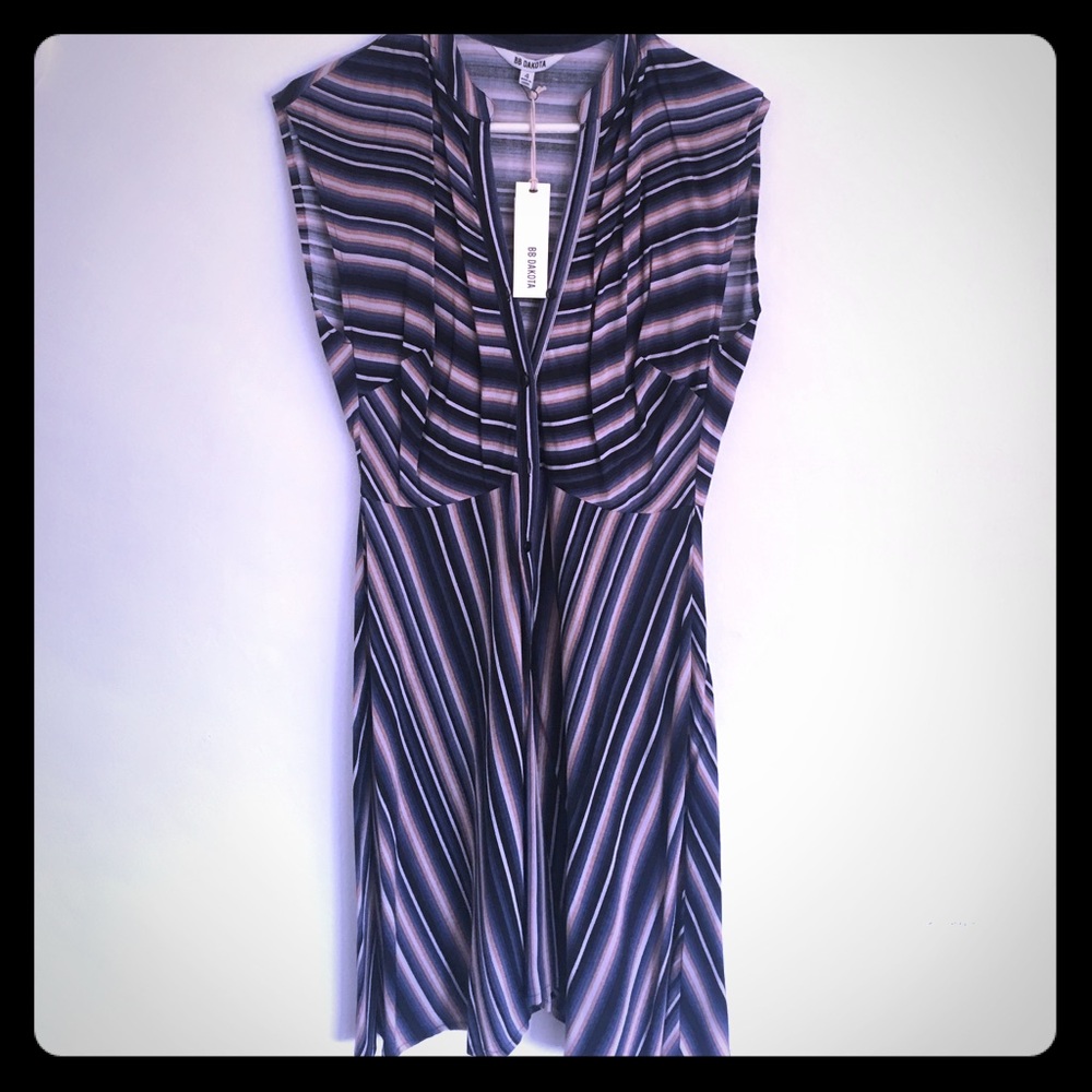 BB Dakota striped dress