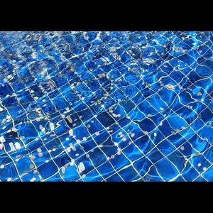 Meet your Posher, Deanna