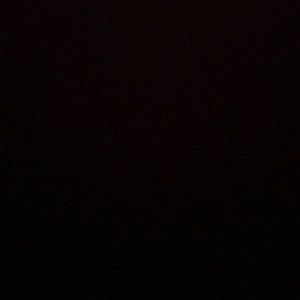 Meet your Posher, Dalton