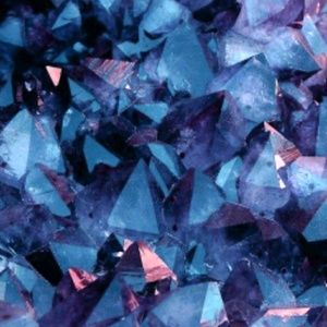 Meet your Posher, Nya