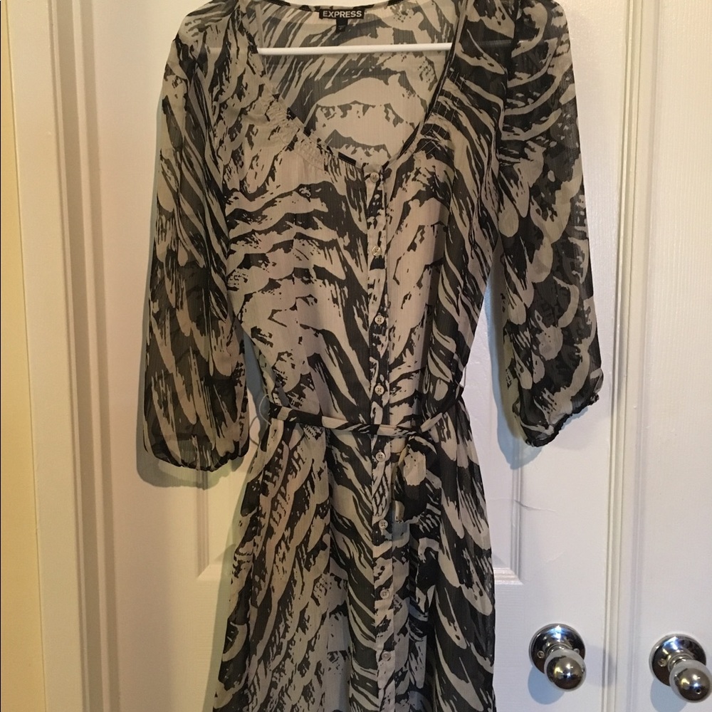Express bottom lined dress