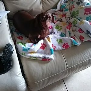 Meet your Posher, Kimmie