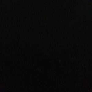 Meet your Posher, Elisa