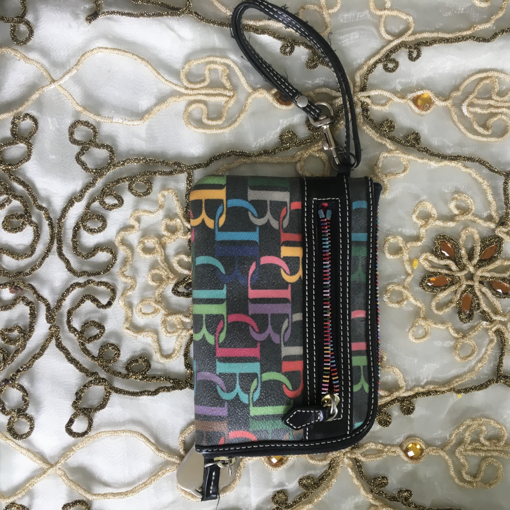 Authentic Dooney & Bourke Colorful Wristlet