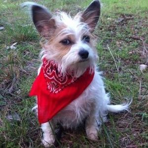 Meet your Posher, Charley