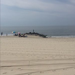 Meet your Posher, Terri