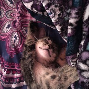 Meet your Posher, Abby