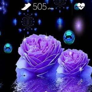 Meet your Posher, Keith