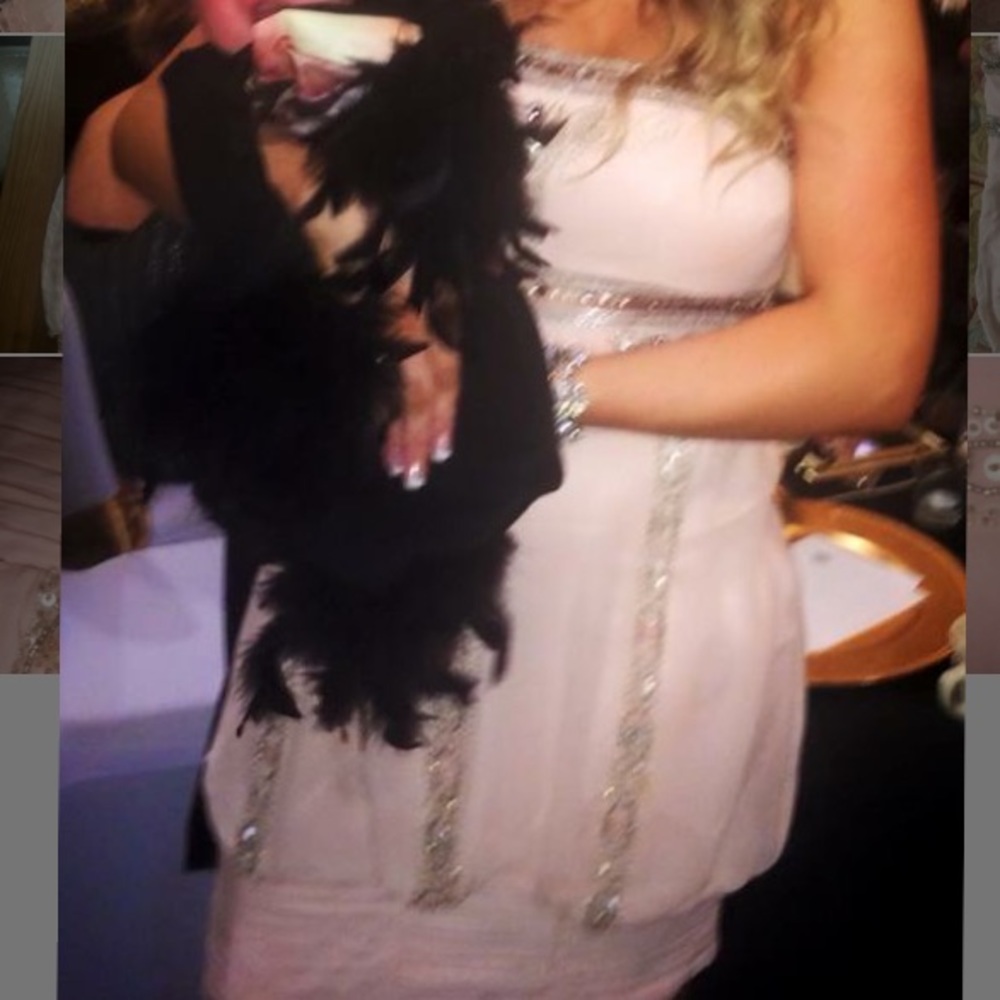 Sue Wong Blush beaded bubble dress