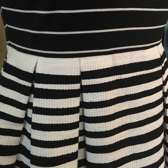 Taylor Pleated Dress - Picture 7 of 7