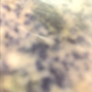 Meet your Posher, Ana