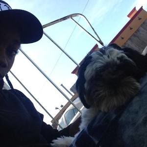 Meet your Posher, Chucky