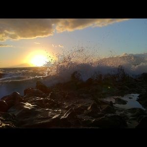 Meet your Posher, Lynne