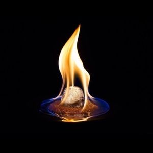 Meet your Posher, Cole