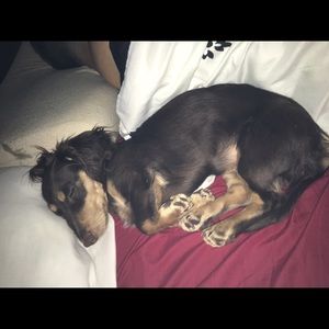 Meet your Posher, Cassie