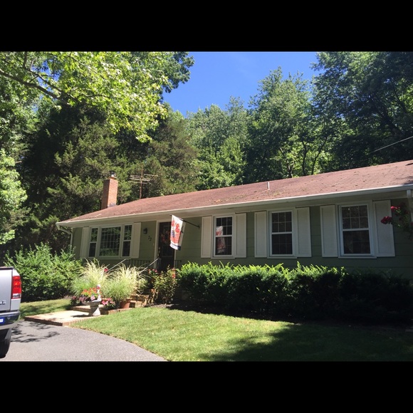 Meet your Posher, Lois - Picture 3 of 3