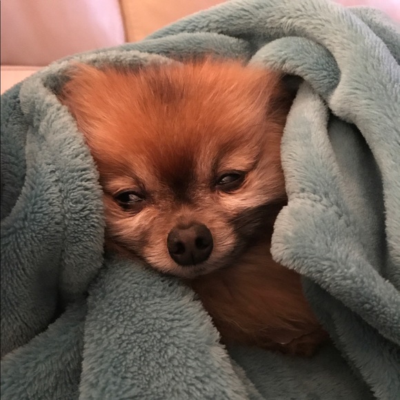 Meet your Posher, Heather - Picture 3 of 3