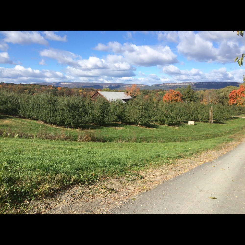 Meet your Posher, Helen
