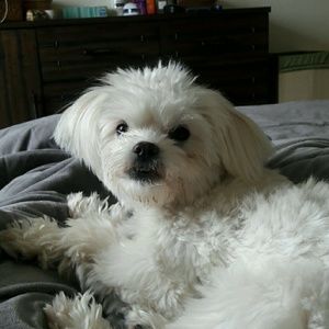 Meet your Posher, Rita