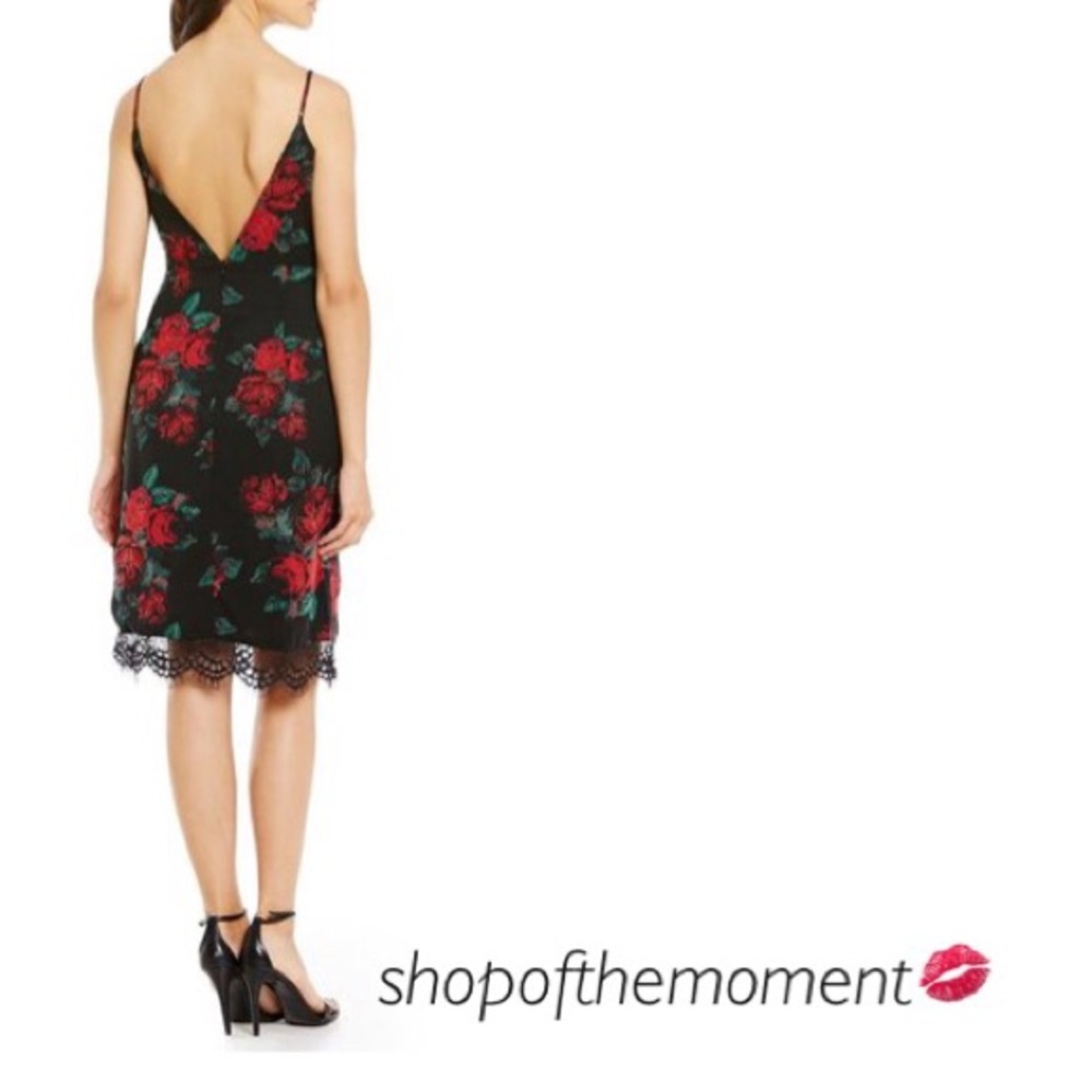 🌹⬇️ Lovers + Friends ♡ Honeymoon Dress ♡ Rose - Picture 4 of 8