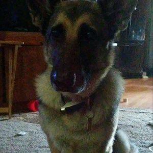 Meet your Posher, Kiersten