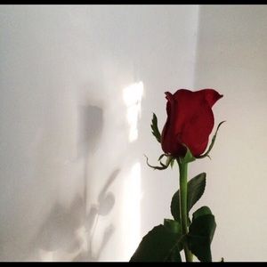 Meet your Posher, Andromeda