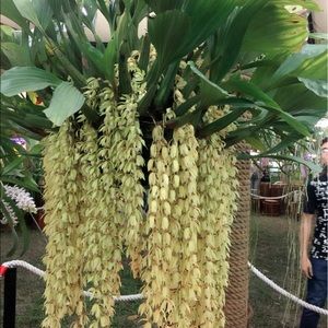 Meet your Posher, Quan