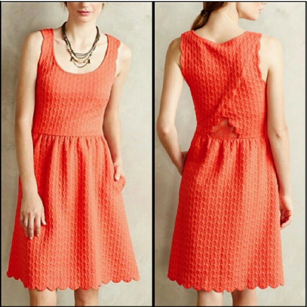 Anthropologie Peekaboo Fit & Flare Dress! 🍑🌺