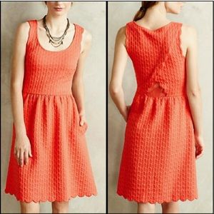 Anthropologie Peekaboo Fit & Flare Dress! 🍑🌺