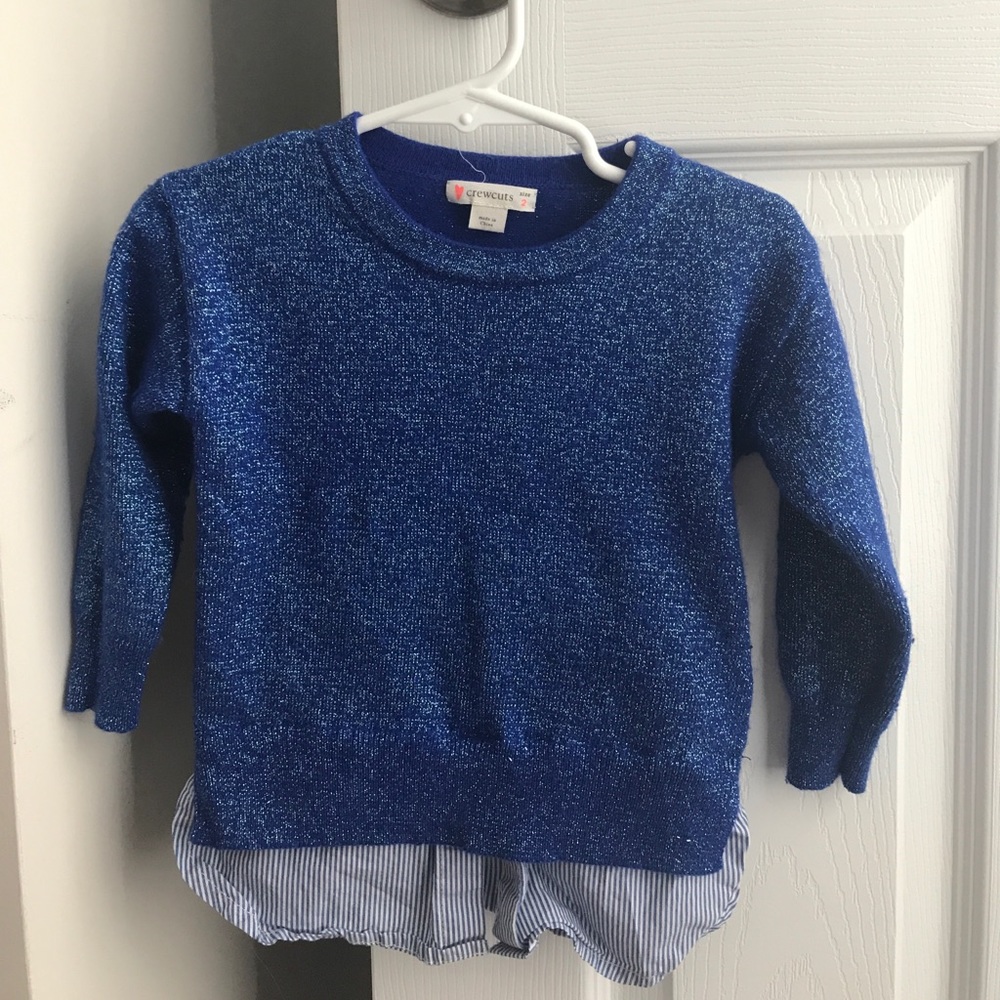 Adorable blue glitter sweater from Jcrew