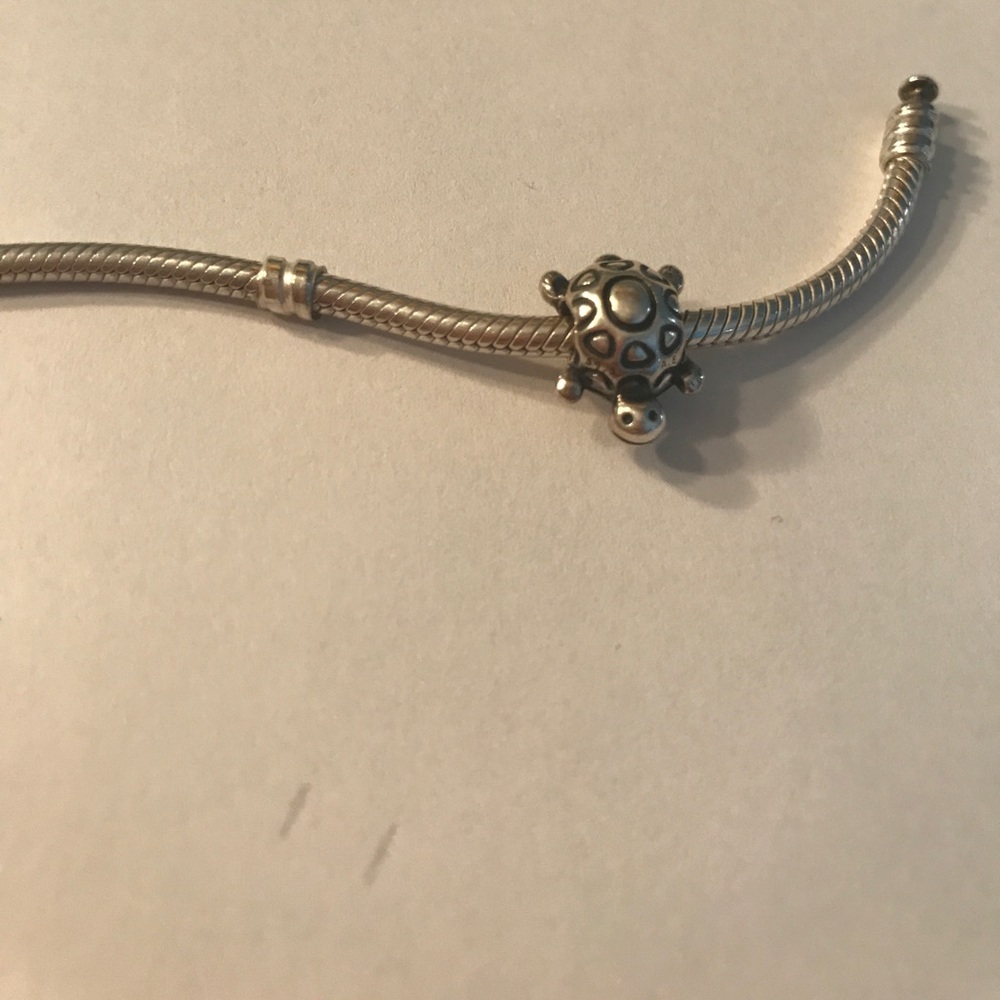 Pandora Turtle Charm (discontinued)