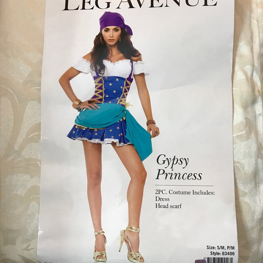 New Gypsy Princess Costume