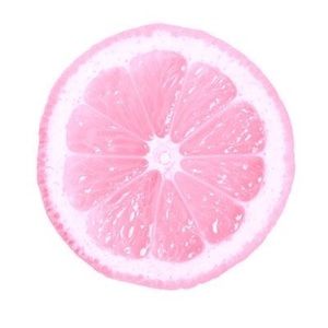 Meet your Posher, Lizzie