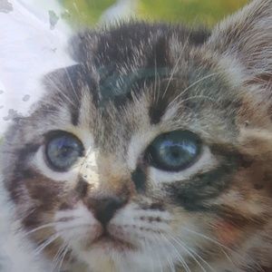 Meet your Posher, Tasha