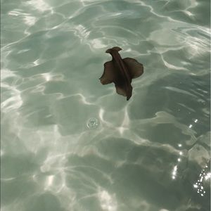 Meet your Posher, Lena