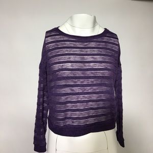 Striped, Mesh, Purple Blouse.