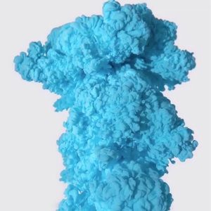 Meet your Posher, Will