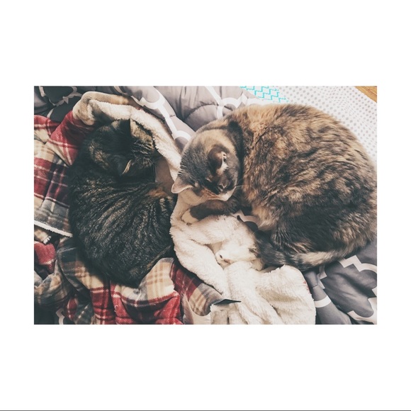 Meet your posher, Brianna - Picture 2 of 3