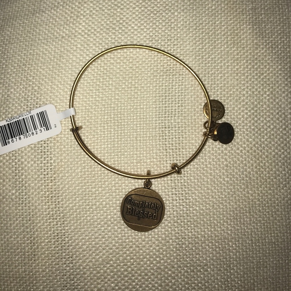 Alex and Ani charm bracelet - Completely Blessed