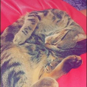 Meet your Posher, Daniela