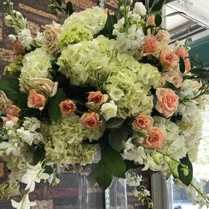 Meet your Posher, Steph