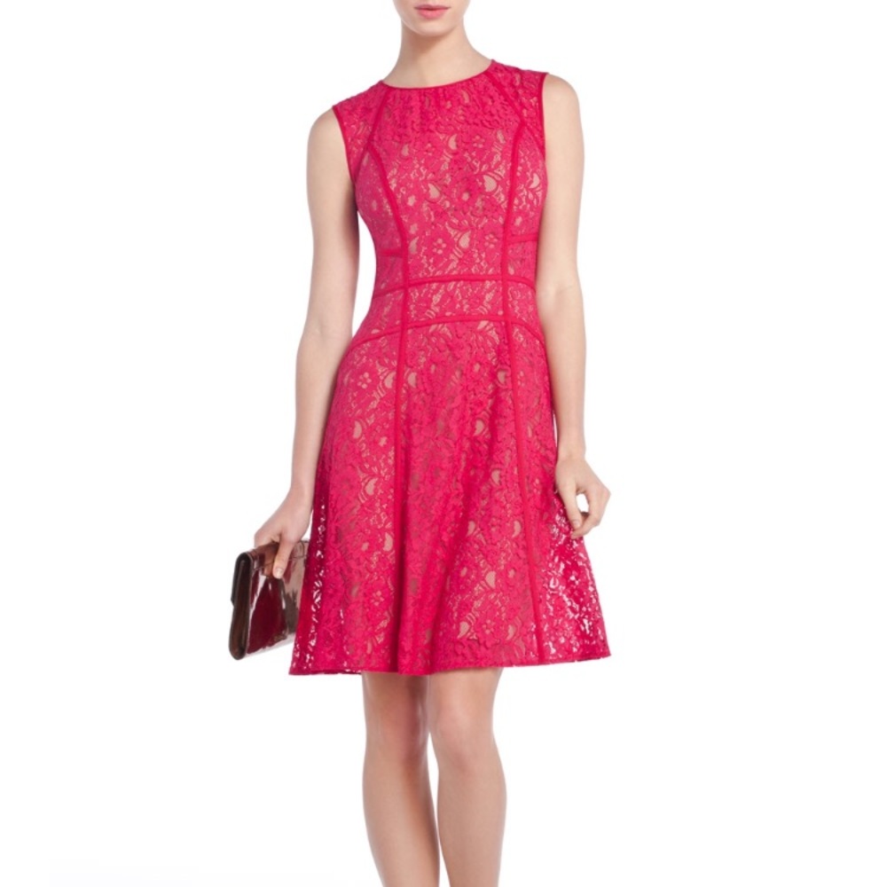 BCBG MaxAzria Khloe Turkish Rose Lace Dress 🌹