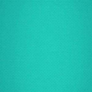 Meet your Posher, Alexa