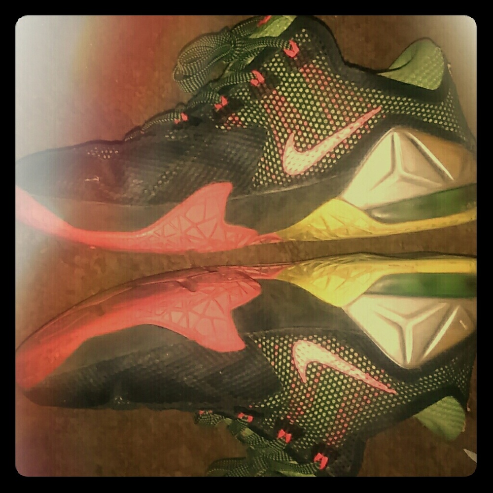 Nike Lebron