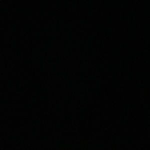 Meet your Posher, Evelyn